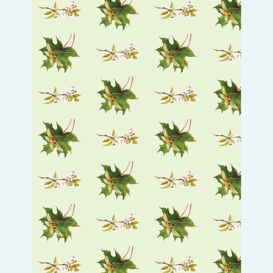 Setahun dalam Buku Taman Baru Kami