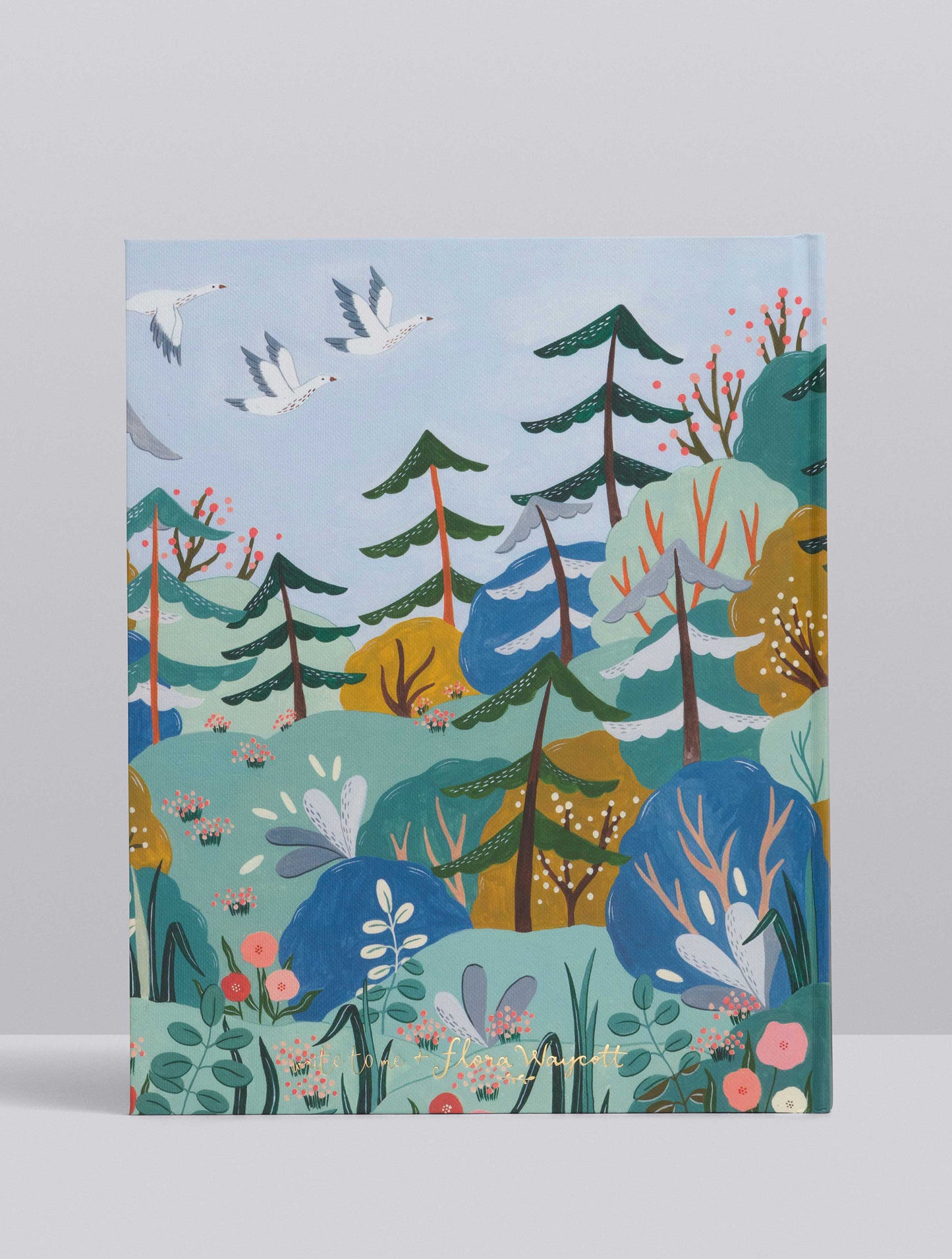 Your Baby Story - Children's Book and Journal