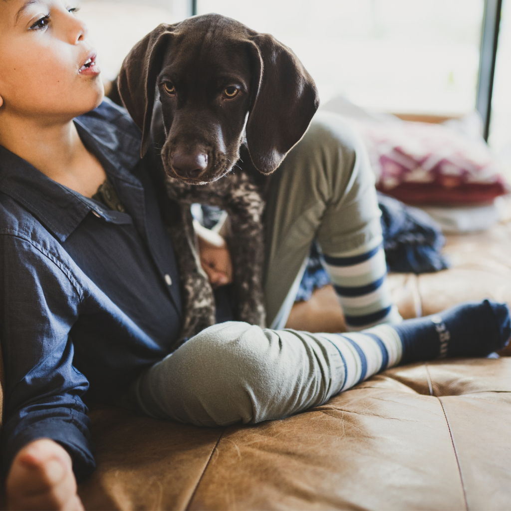 Merinosocken - Kompass