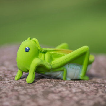 Grasshopper - Garden Friend Teether / Bath Toy