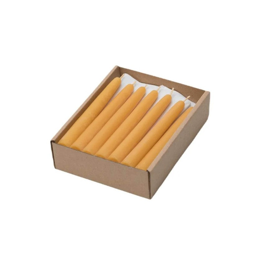 Dipam Beeswax Birthday Ring Candle 11x1.3cm - Single