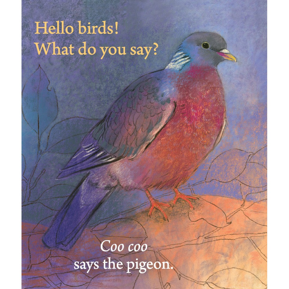 Hello Birds, What Do You Say?