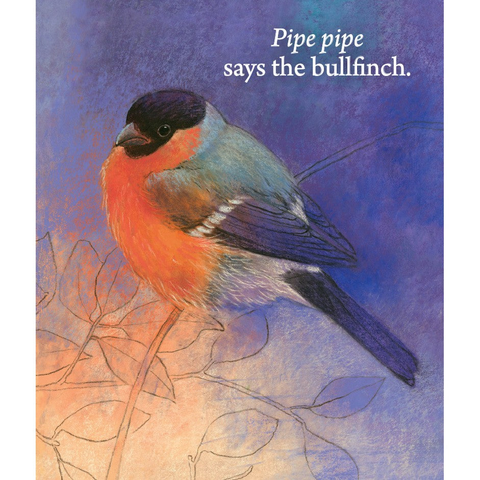 Hello Birds, What Do You Say?
