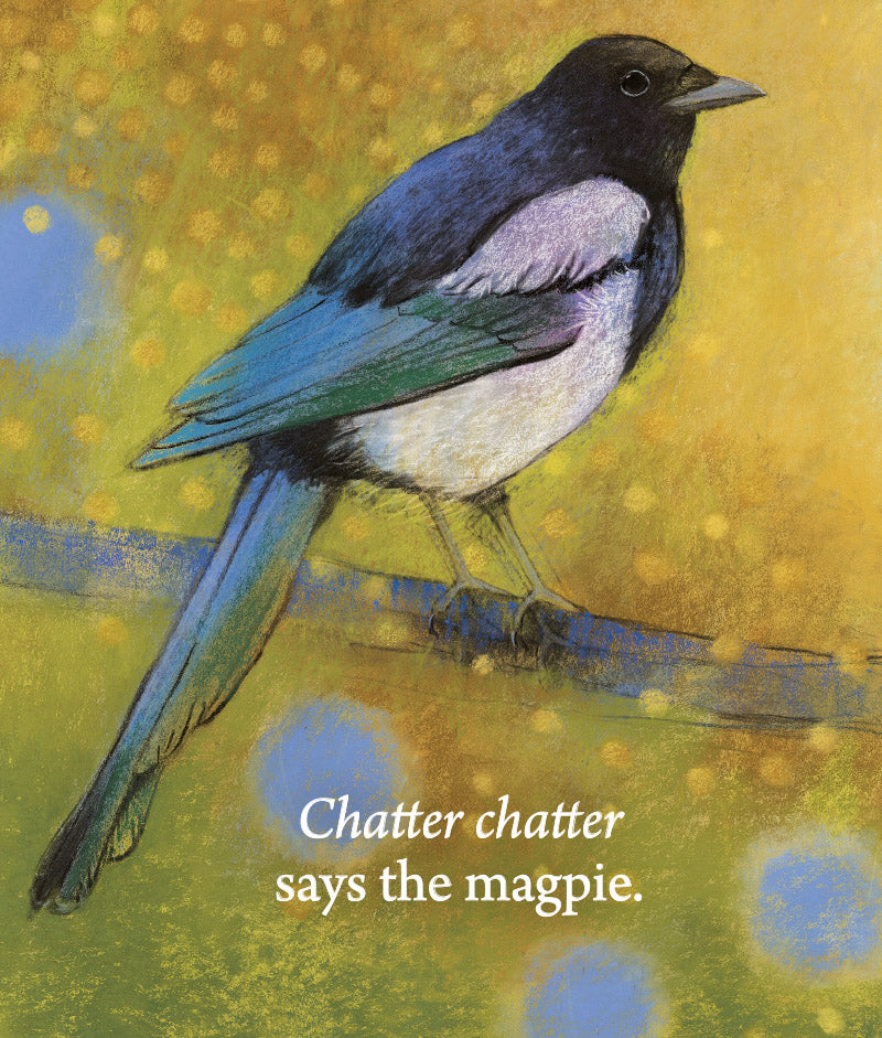 Hello Birds, What Do You Say?