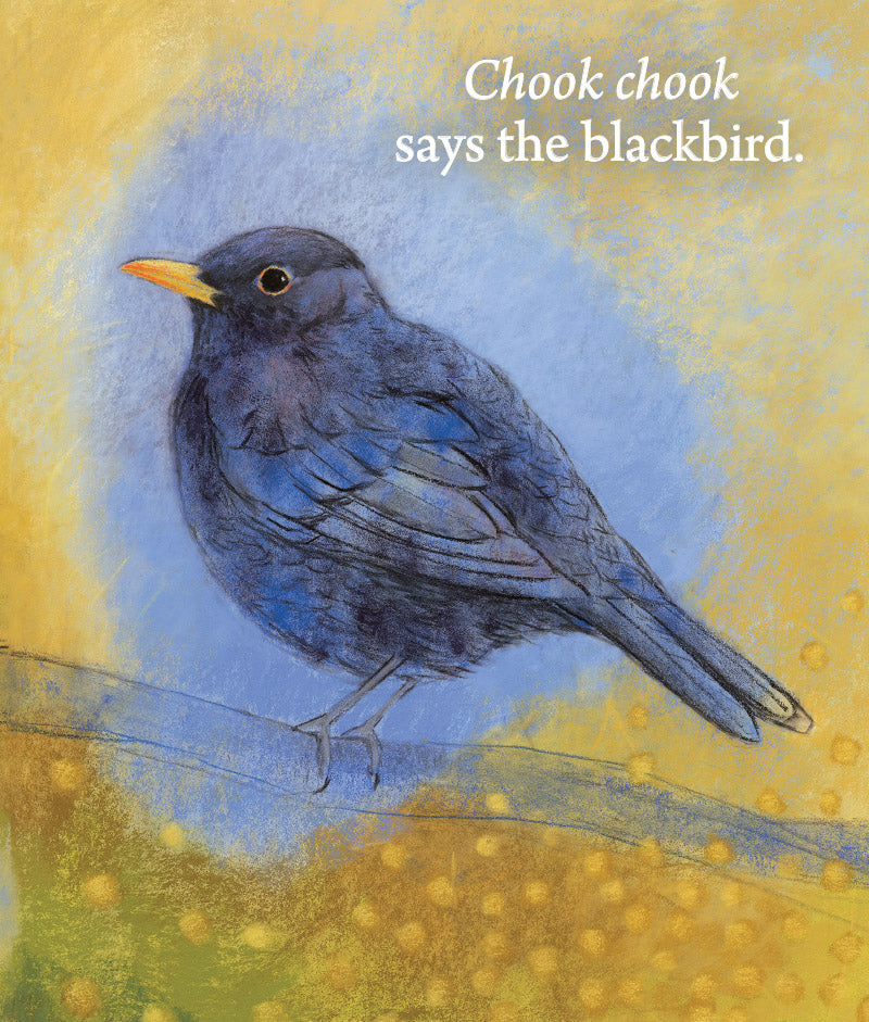 Hello Birds, What Do You Say?