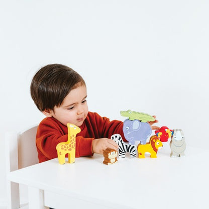 Africa Stacking Animals & Bag